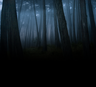 bg-1024x930.png