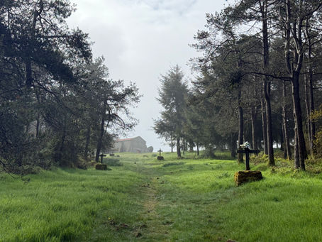 Inner Camino