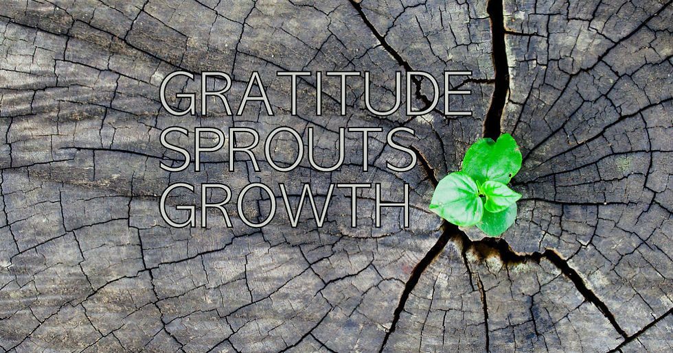 Amazing Benefits of Gratitude