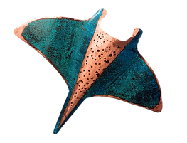 reef manta ray.png
