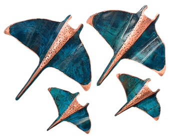 Giant and reef manta ray.png