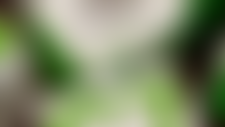 Dexcom G7: een eerlijke review