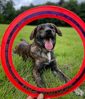 Screenshot 2024-07-23 at 13.23.15.png