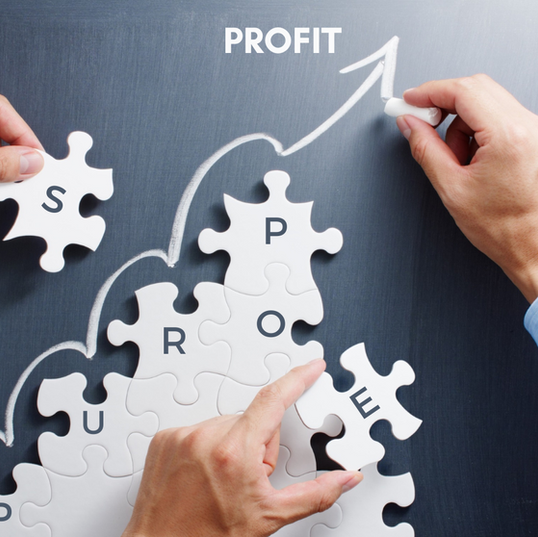 Profit and Purpose: Family businesses can make a big impact with ESG and EDI strategies