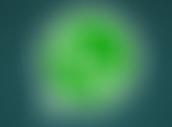 WhatsApp: Para contactos y reservas