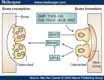 A bone to pick with calcium supplement manufacturers