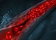 Nitric Oxide Induction to pump up muscle and performance - YES or NO
