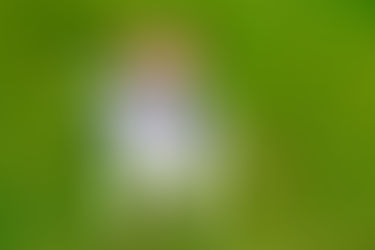 Physical Activity is just as important as good nutrition