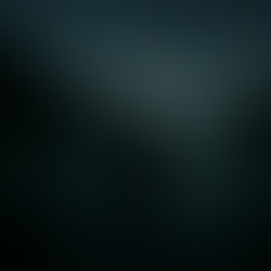 Why I Chose the Title Into the Heart of Darkness