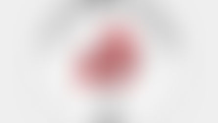 Այո, մենք խանգարում ենք այս իշխանություններին, արգելք ենք, որ Հայաստանը դառնա թուրքական վիլայեթ