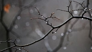 Շրջանների զգալի մասում սպասվում են տեղումներ. Եղանակը Հայաստանում