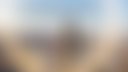 Մեկ օրում ոստիկանները բացահայտել են հանցագործության 61 դեպք