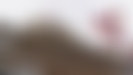 Արցախի նախագահը նախաձեռնել է Սահմանադրության փոփոխության գործընթաց