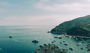Bay Boats Port Yachts