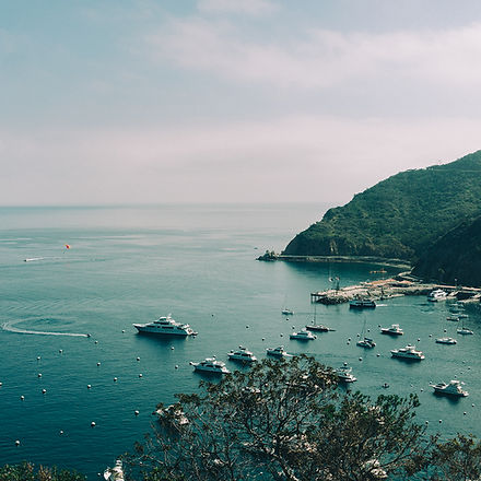 bay-boats-port-yachts
