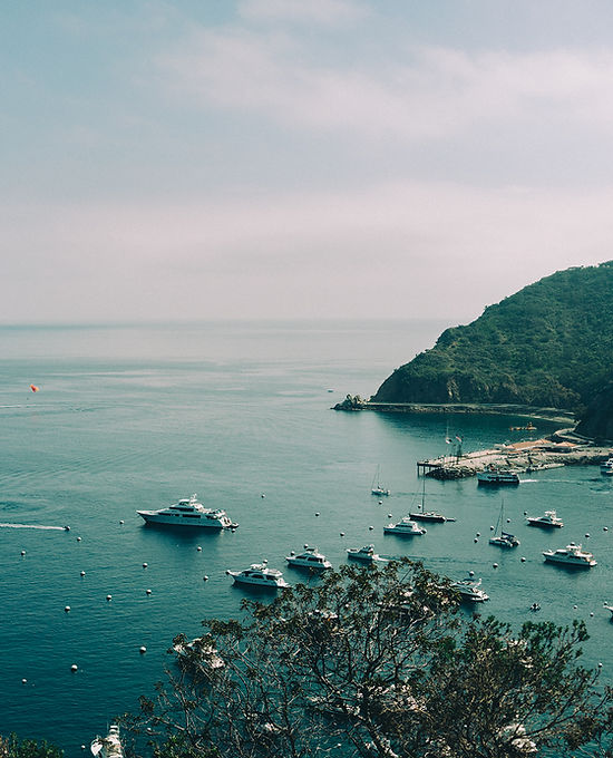 bay-boats-port-yachts