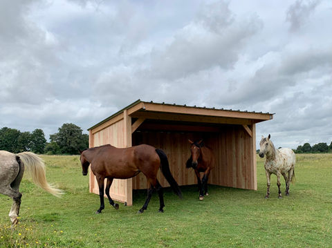 Abri bois 3m *5m chevaux, Harmonie Equine, location vl chevaux, Location camion vl chevaux, litière chevaux copeaux, Litière copeaux de bois pour chevaux, clôture chevaux, clôture chevaux bois, Clôture bois pour chevaux, abris bois chevaux, Abris bois pour chevaux, barriere anglaise, Barriere anglaise bois 