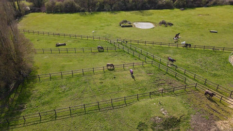 Clôtures bois traitement Dura2, Harmonie Equine, location vl chevaux, Location camion vl chevaux, litière chevaux copeaux, Litière copeaux de bois pour chevaux, clôture chevaux, clôture chevaux bois, Clôture bois pour chevaux, abris bois chevaux, Abris bois pour chevaux, barriere anglaise, Barriere anglaise bois