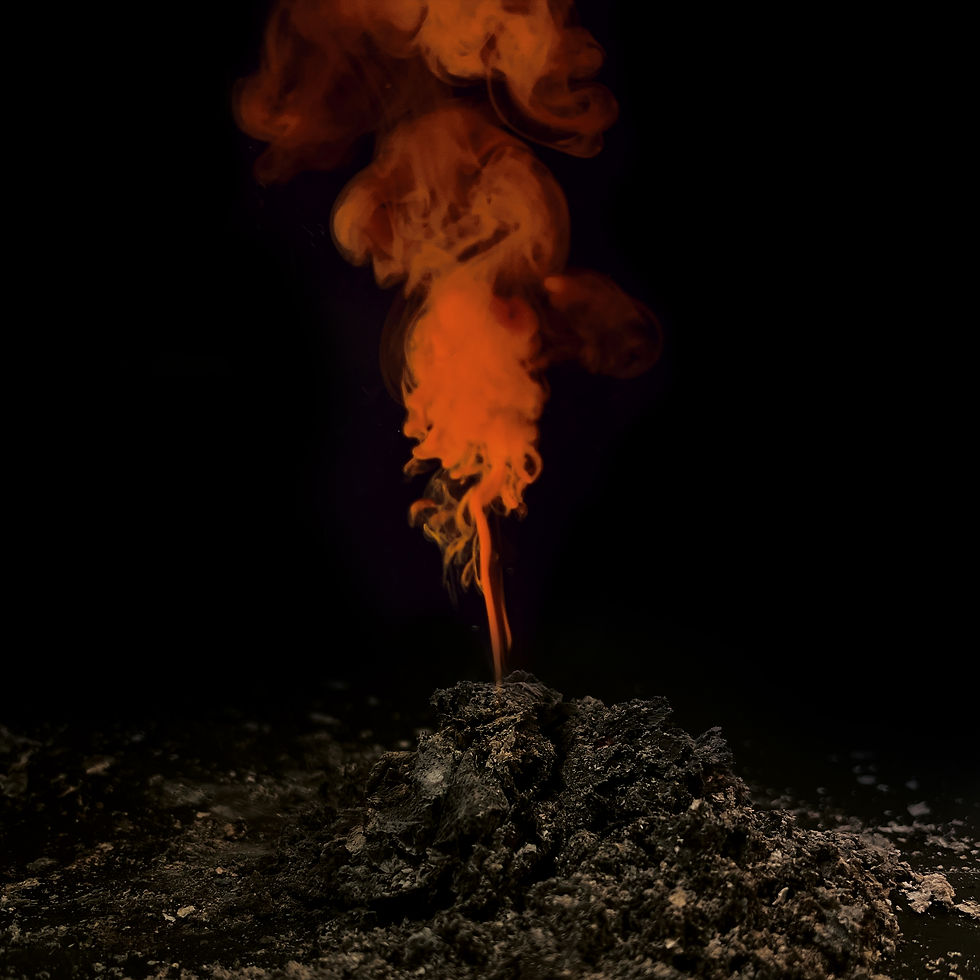 Rising from ashes copy 2.jpg