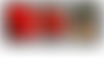 Preferred Mode of Duck Transportation: A Bucket