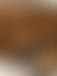 Sickly calf staying warm indoors