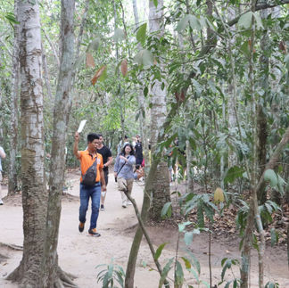 cu chi tunnels