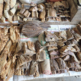 dried fish Tangalle marke