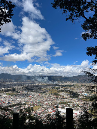 city seen from a vast viewpoint