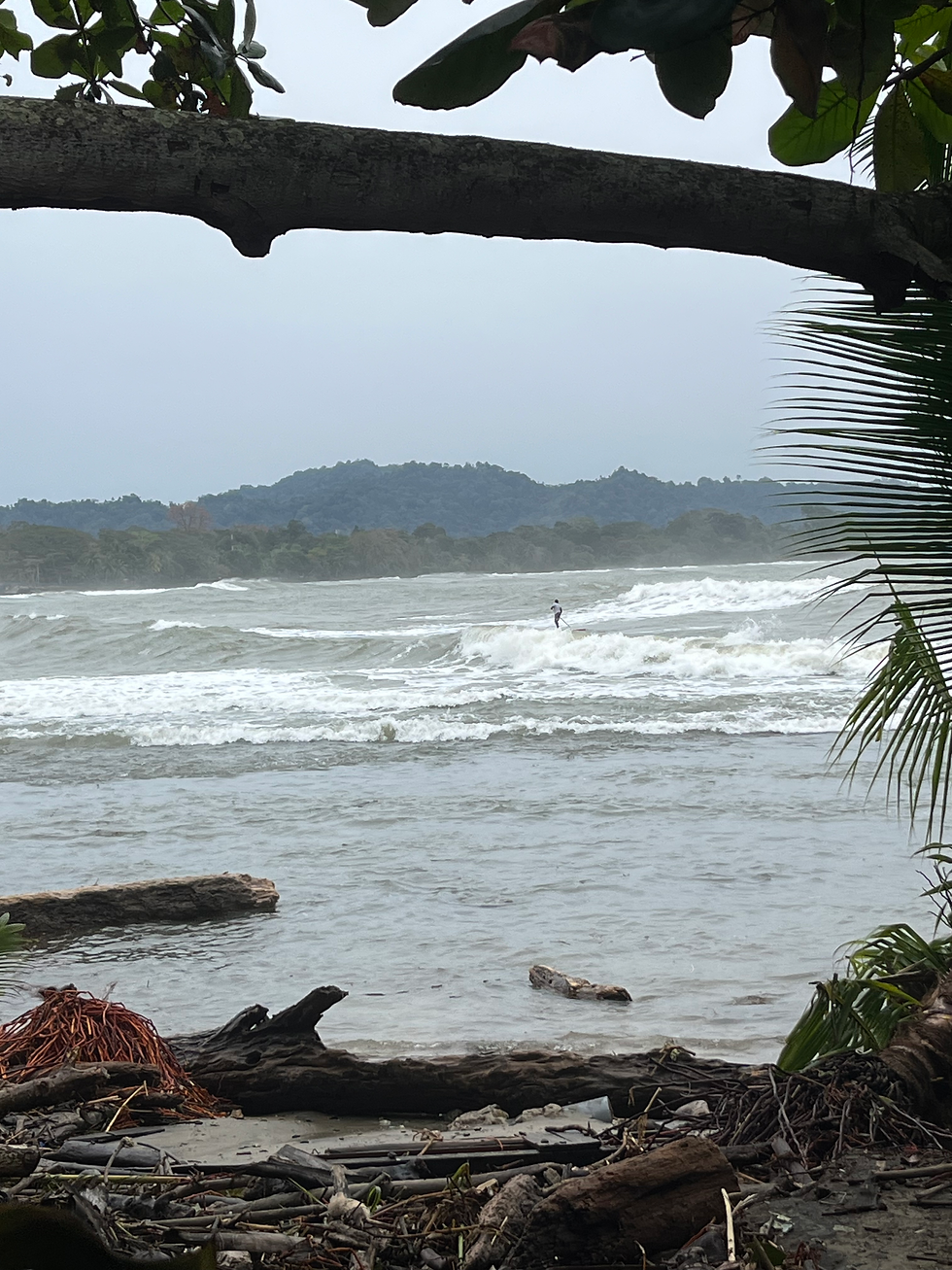 Stormy tropical beach framed by palm leaves and driftwood, with a lone surfer riding waves under gray skies.