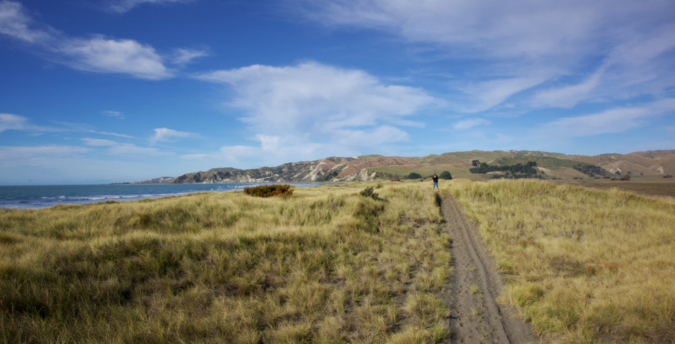 sedge covered dunes with mountains in background