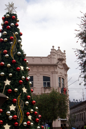 Christmas tree in foreground, pink colonial type building behind