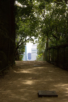 View of kobe from the herb garden hiking trail