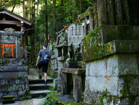man walks along a path borded with graves and small tori gates