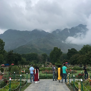 gardens with mountains in background 