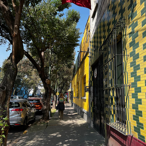 tree lined avenue with colourful houses.