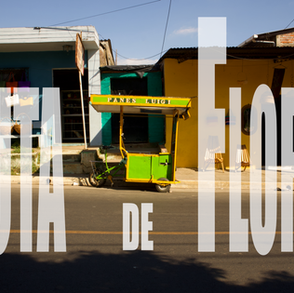 Ruta de las Flores