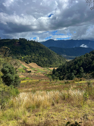 view looking over fields.