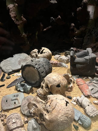 bones found in the ruins of templor mayor