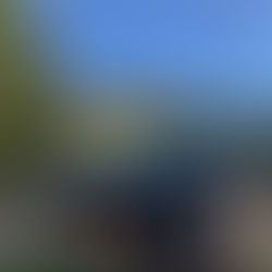 Making the most of our two days in Nikko