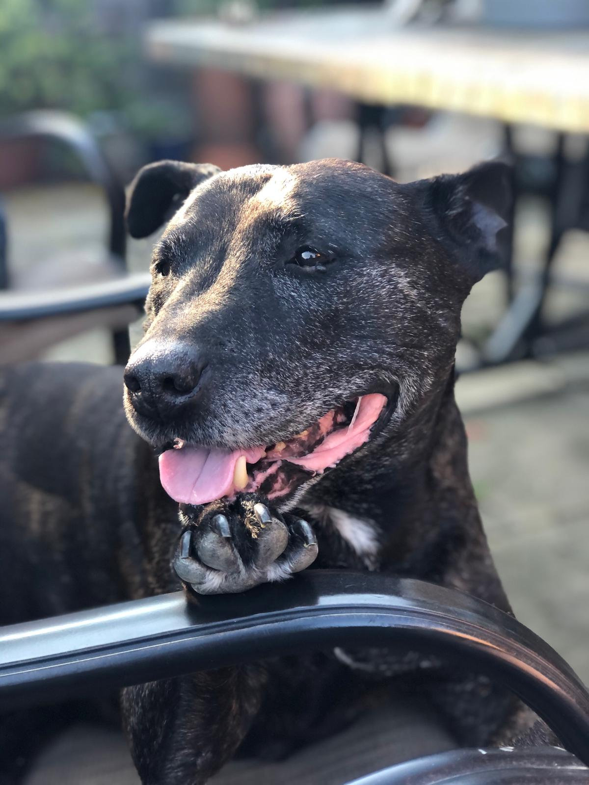 Buster ️