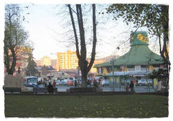 TEMUCO 8