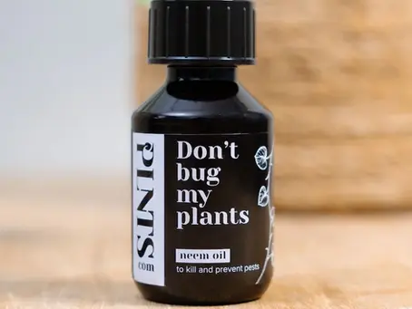 Bescherm je plant met neemolie