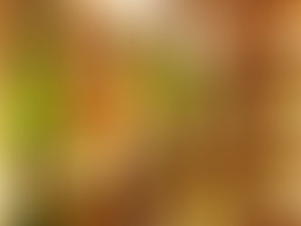 Japanese Sake in U.S.