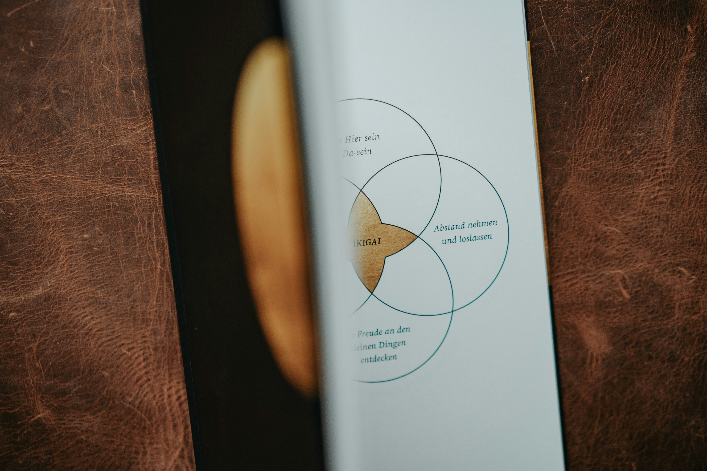 Building Visual Identity Systems That Scale