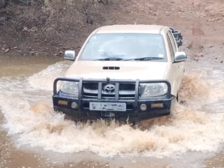 Eighty Days Following the Bush Telegraph