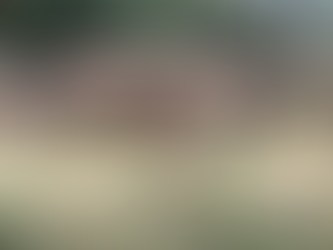 Five Suspected Rhino Poachers Shot Dead
