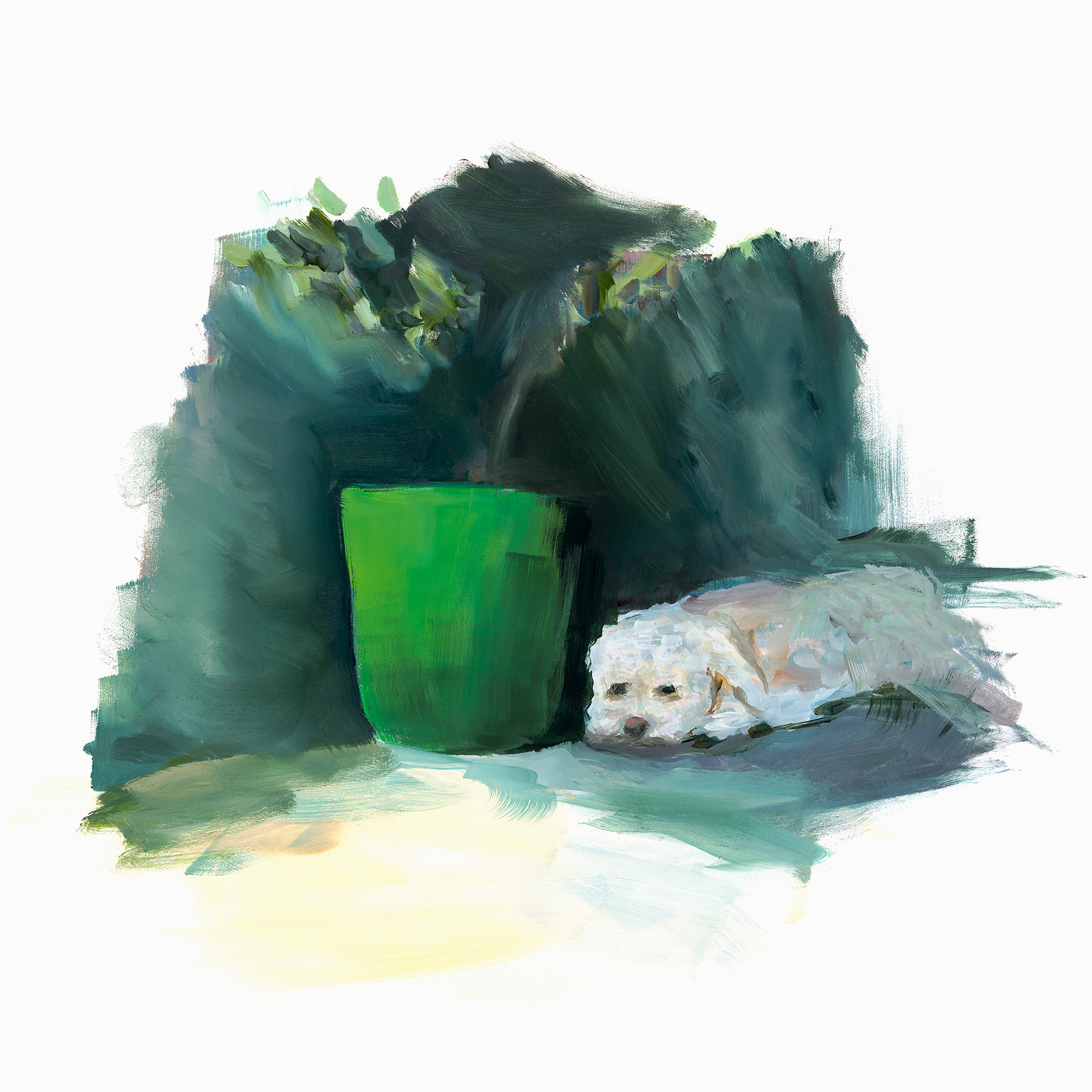 Great green pot