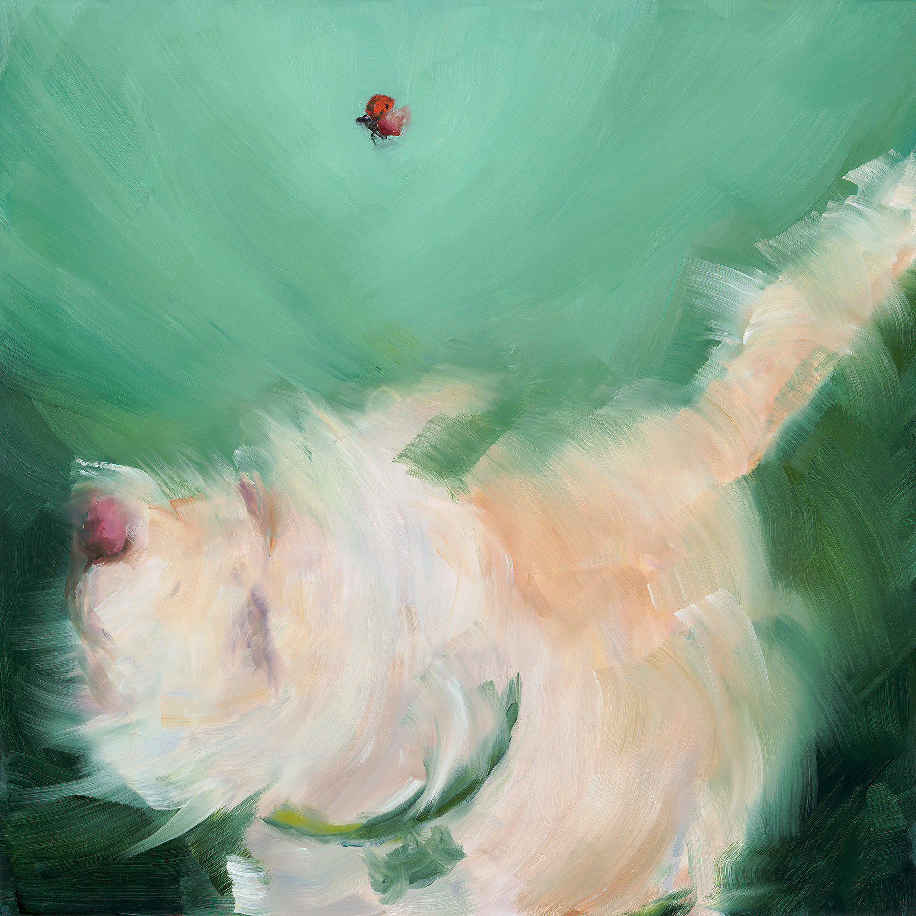 Ticklish ladybug