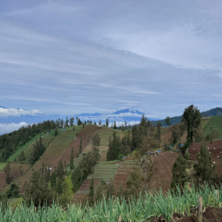 Views of the farms from the top of the mountains