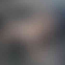 Excavated horses from the terracotta army